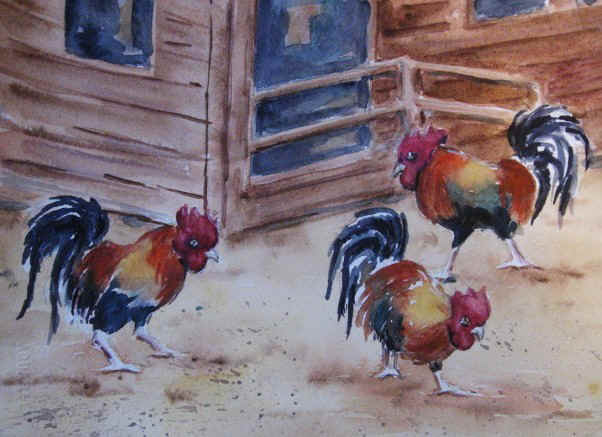 Roosters.JPG (95728 bytes)